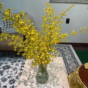 Meet your Posher, Taura